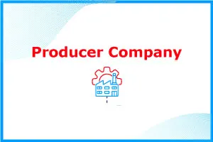 producer-company