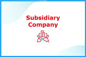 subsidiary-company